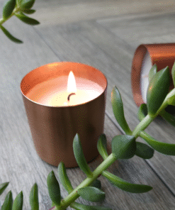 Alternative view of Spark Candle